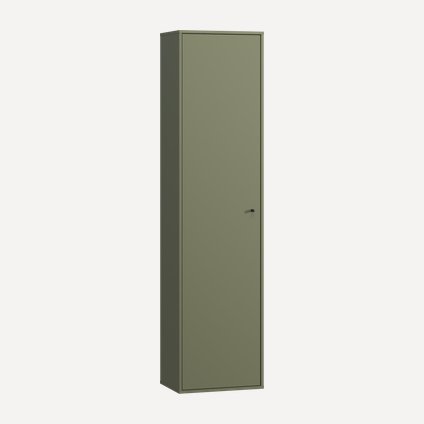 Распашной шкаф Сайрис 1-50x202 Оливковый