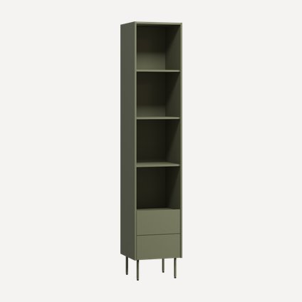 Стеллаж Дигарс 43x220 Оливковый
