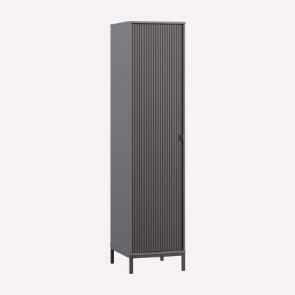 Распашной шкаф Трейвис 1-48x205 Графитовый