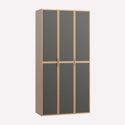 Распашной шкаф Флавир 3-120x250 Рогожка Графитовый