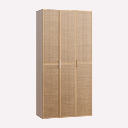 Распашной шкаф Флавир 3-120x250 Ротанг