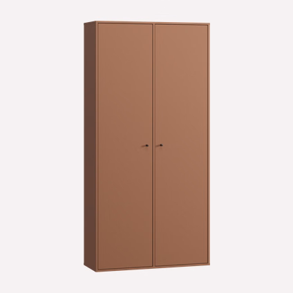 Распашной шкаф Сайрис 2-98x202 Терракотовый