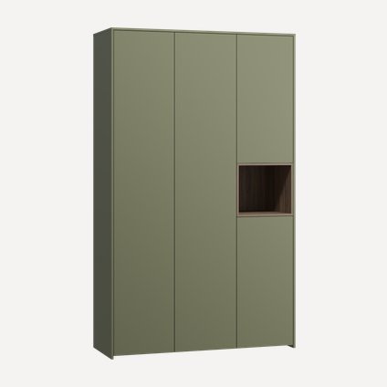 Распашной шкаф Висмар 3-153x240 Оливковый