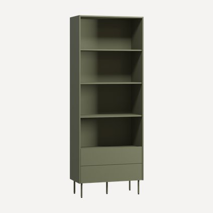 Стеллаж Дигарс 83x220 Оливковый