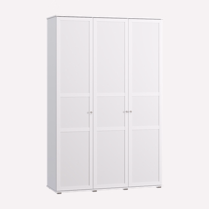 Распашной шкаф Амели 3-120x220 Белый