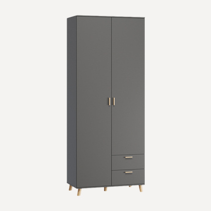 Распашной шкаф Пронто 2-100x220 Графитовый
