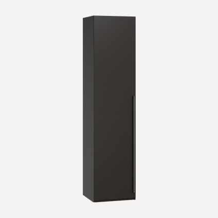 Распашной шкаф Лорэна-1-50-210 Black