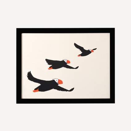 Постер Камчатка Птицы 43x33