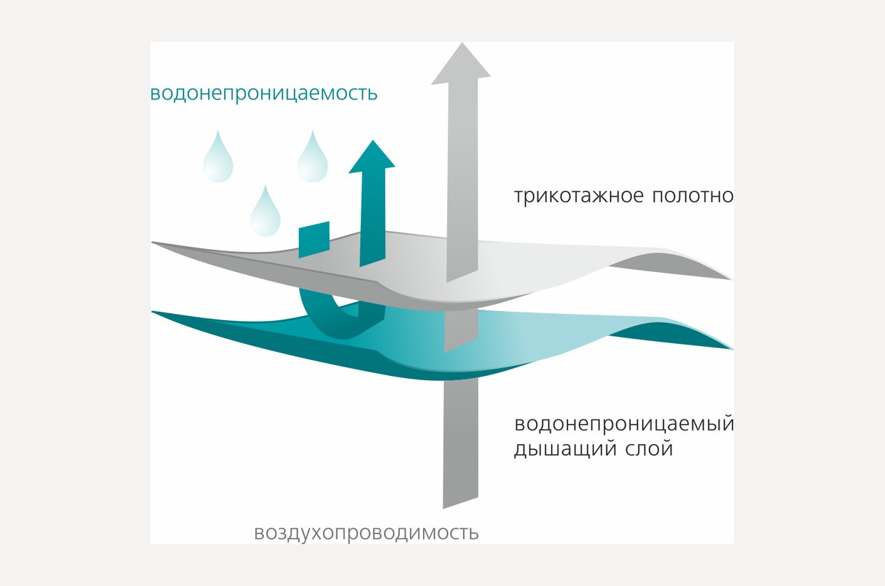 Изображение 585356