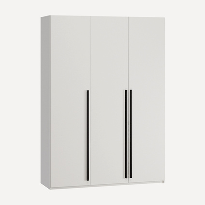 Распашной шкаф Лорэна-3 