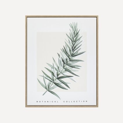 Сурет Botanik Herb