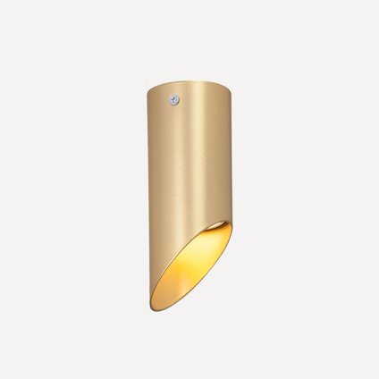 Спот Олден Gold